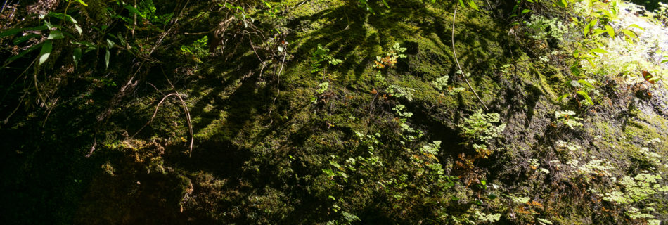 Contracts: La Palma Deep Demonstrator